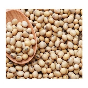 Bán buôn Hữu Cơ đậu nành/Đậu Nành Đậu/đậu nành có sẵn trực tiếp từ Mỹ - Product Image 4