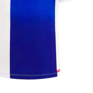 Jersey de Fútbol Cómodo y Transpirable de Ajuste Rápido, de Alta Calidad, Personalizable por el Fabricante, en Venta - Product Image 4