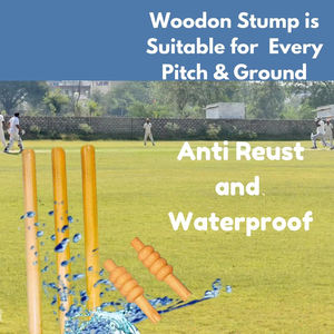 Usine professionnelle Logo personnalisé en bois anglais Cricket Wicket Top haute vente avec une bonne conception de poignée Service OEM disponible - Product Image 4