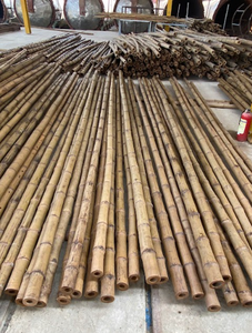 Proveedor Vietnamita de Varas de Bambú Duraderas para Jardinería, Paisajismo, Diseño de Interiores y Proyectos al Aire Libre - Product Image 4