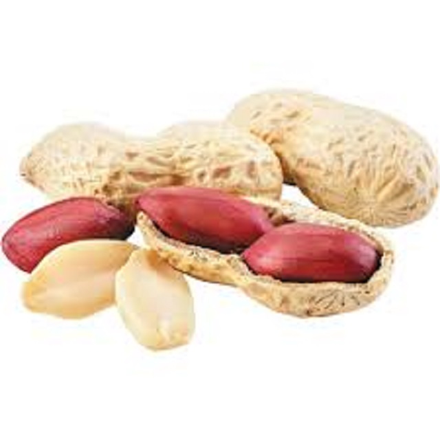 Wholesale Natural Organic First Grade Shelled Peanut Bulk Raw Peanut Sorting Peanuts Nuts & Kernels