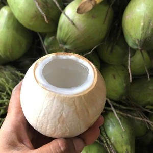 มะพร้าวขัดมันเปิดง่าย - Product Image 2