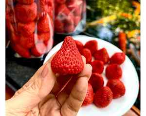 Fresas liofilizadas de alta calidad procedentes de granjas frescas en Vietnam Fresas liofilizadas crujientes por 99GD - Product Image 3