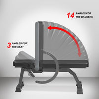 Banc de musculation pliable et réglable en métal, avec logo personnalisé, pour salle de sport commerciale, utilisation intérieure.