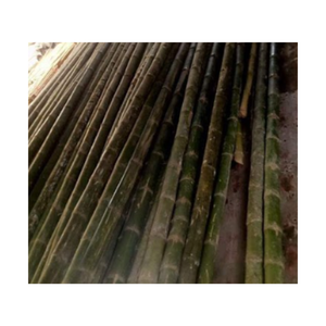 เสาไม้ไผ่ธรรมชาติในเวียดนามพร้อมขนาดที่กำหนดเองได้สำหรับการเกษตรเสาไม้ไผ่ธรรมชาติสำหรับตกแต่งสวน - Product Image 2