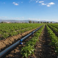 Tuyau d'irrigation en PEHD PE100 de 180 mm PN16 SDR11, tube d'alimentation en eau haute pression pour l'agriculture, ferme, OEM