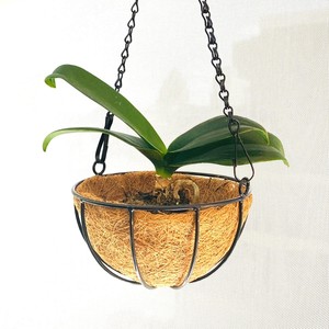 Pots de jardinières en coco, décoration de jardin, paniers suspendus, enveloppe de noix de coco, doublure en fibre, jardinière avec cadre en métal - Product Image 1