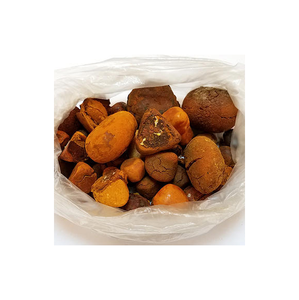 Cálculos biliares Ganado Buey Vaca Cálculos biliares - Product Image 6