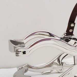 Instrumento de cuidado de uso de caballo de alta calidad para instrumentos dentales espéculo de caballo SE espéculo de acero inoxidable - Product Image 6