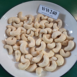 High Quality Kaju Badam Santigo WW240 Cashew <b>Kernel</b> W240 Cashew <b>Nuts</b> FREE Sample - Product Image 1