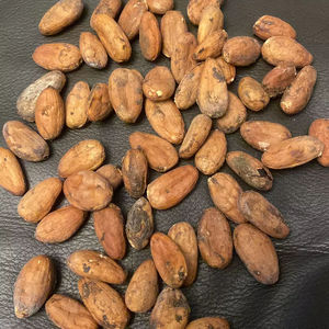 Granos de Cacao Tostados de Camerún y Ghana, Variedad Forastero, Grado 1, Bolsas de 50 kg - Product Image 1