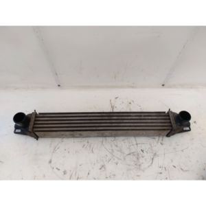 อินเตอร์คูลเลอร์ ซีตรอง นีโม ซีรีส์ 384L7 199A9000 ดีเซล 1300 (08>18) - Product Image 1