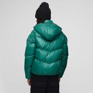 Chaqueta de Plumón Brillante Resistente al Agua para Hombre, Personalizada OEM, Ropa de Abrigo para Exteriores, Chaqueta de Invierno Acolchada con Cuello Alto Clásico - Product Image 2