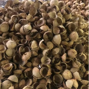 Cáscaras de coco de origen vietnamita disponibles a granel para fines industriales y creativos - Product Image 1