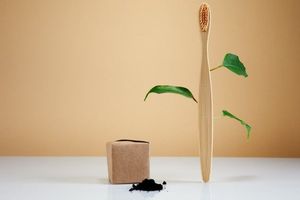 Brosse à dents de voyage en bambou écologique Viral 2025 recyclable et durable avec conception infusée de charbon de bois léger pratique - Product Image 3