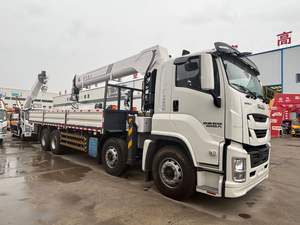 Grúa Montada en Camión Isuzu 8x4 con Pluma de Largo Alcance para Elevación en Construcción, Mantenimiento de Servicios Públicos y Manejo de Carga - Product Image 3