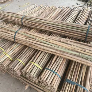 Kurutulmuş tedavi bambu direkleri/köpekler/kazıklar direkleri bambu ham bahçe tesisi desteği görünüm Nam