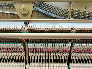 เปียโนตั้งพื้น KAWAI US6X คุณภาพสูง มือสองจากญี่ปุ่น ขายพร้อมระบบเสียงระดับมืออาชีพ คีย์ไม้แท้ - Product Image 4