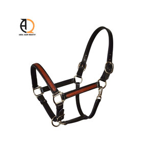 Licol pour cheval en cuir véritable rembourré personnalisé avec un design perlé, réglable, durable, collier équestre brodé de perles - Product Image 1
