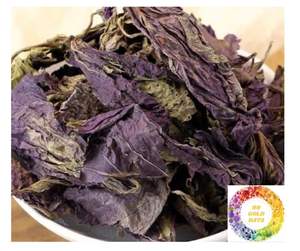 Meilleures feuilles de périlla séchées pour les marchés internationaux Shiso vert de qualité supérieure et Perilla Britton séchée de haute qualité avec une valeur exceptionnelle - Product Image 4