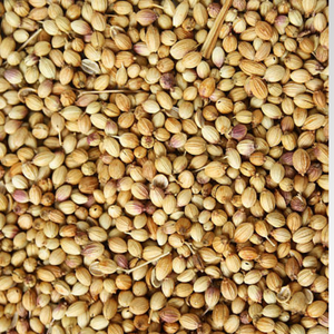 Graines de coriandre séchées fraîches de ferme indiennes traditionnelles, qualité supérieure, 100 % pures, qualité d'exportation, Indian Highlands International - Product Image 6