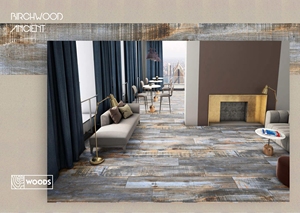 Azulejos de porcelana de madera de abedul antiguo de 200x1200mm de alta calidad, acabado mate, pulido, diseño moderno clásico para uso en exteriores - Product Image 3