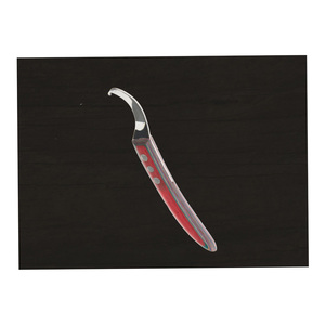 Vente en gros de couteau à sabot de maréchal-ferrant, couteau à boucle d'abcès, manche ergonomique pour tailler les sabots des animaux de la ferme, petite boucle en acier inoxydable - Product Image 3