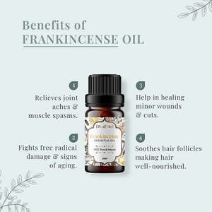 Box of 3 100% Pure <b>Essential</b> <b>Oils</b> Gift Pack-Customizable <b>Set</b> Including Lavender Tea Tree Sandalwood for Moisturizing - Product Image 6