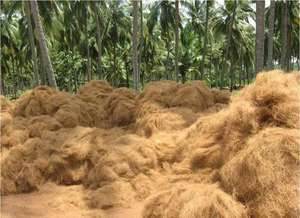 FIBRE DE NOIX DE COCO VIETNAM/CORDE DE COIR/FIBRE DE NOIX DE COCO HAUTE QUALITÉ À VENDRE - Product Image 3