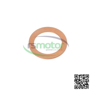 Pièces de moteur MWM RS-12045253 de haute qualité, nouvelle conception de rondelle plate pour gaz naturel, pièces de fixation fiables - Product Image 2