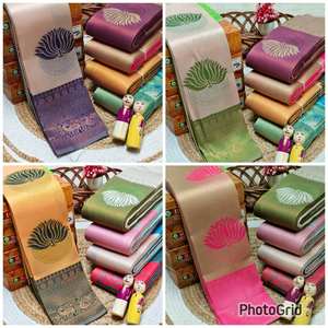 Saree สีขาวและสีเหลืองที่สง่างามที่มีเส้นขอบสีแดงแบบดั้งเดิมที่มีลวดลายภาพวาดด้วยมือที่สดใสและมีสีสัน pallu ที่สมบูรณ์แบบ - Product Image 5