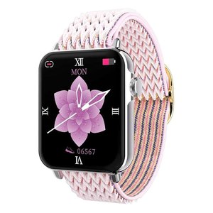 Correa de reloj CLASSIC Rosa y Plateado SW035E03 - Product Image 1