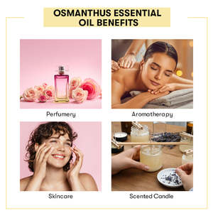 Aceite Esencial de Osmanthus 100% Puro, Hidratante, Aclarante y Nutritivo con Lavanda como Ingrediente Principal para el Cuidado Diario de la Piel - Product Image 5
