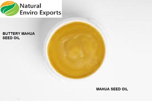 Huile de graines de Mahua de haute qualité utilisée comme huile essentielle pure et biologique disponible au coût le plus bas Produit fabriqué en Inde Huile de graines de Mahua - Product Image 4