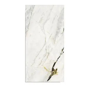 Tiles & Accessories High Quality Venetoin Verda Tiles 600x1200cm Glossy Finish Porcelain Tiles Available at Best Supply