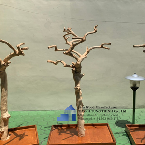 Perchoir pour oiseaux en bois de café naturel, branches de bois flotté pour oiseaux, fabriqué au Vietnam, durable, écologique, ornement pour animaux de compagnie · - Product Image 4