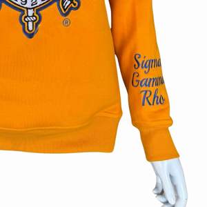 SGRho Shield Chenille sudadera suave Premium algodón cuello redondo bordado Sigma Gamma Rho Greek Sorority ropa para mujer - Product Image 6
