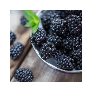 Fruta fresca de zarzamora ofrecida para empresas de servicio y procesamiento de alimentos - Product Image 6