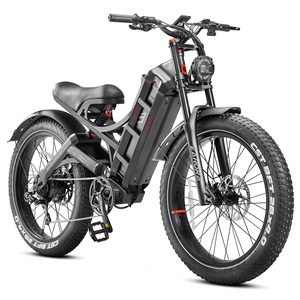 Novedades: Bicicletas Eléctricas eAhora Pro II de Alto Rendimiento, 4kW, Batería de Litio, Largo Alcance de 200 Millas, Velocidad Máxima de 46 MPH - Product Image 4