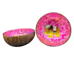 Juego de cuencos de coco con laca de colores mezclados desechables de alta calidad estilo Vietnam precio razonable para compradores comerciales de alimentos - Product Image 2