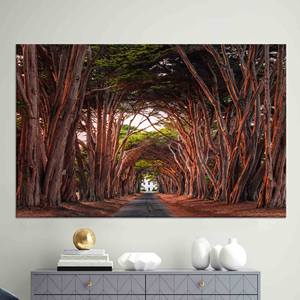 Tableau imprimé sur toile : Vue sur le tunnel de cyprès et la côte californienne, TOILE ENVELOPPEE - Product Image 1