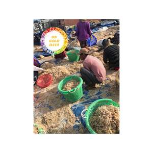 POLVO DE MUSGO MARINO DE ORIGEN VIETNAMITA DE GRADO ALIMENTICIO PARA SUPLEMENTOS DE SALUD, ALIMENTOS FUNCIONALES Y FORMULACIÓN DE BATIDAS - Product Image 6