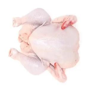 Pollo intero congelato di alta qualità l |