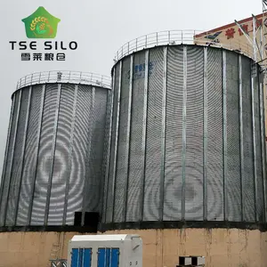 Arroz industrial de moagem de grãos usados para armazenamento de silo de fundo plano