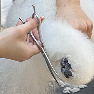 Tijeras Curvas de Acero Inoxidable de 6 Pulgadas para Peluquería Canina, Herramientas para Cortar el Pelo de Mascotas - Product Image 6