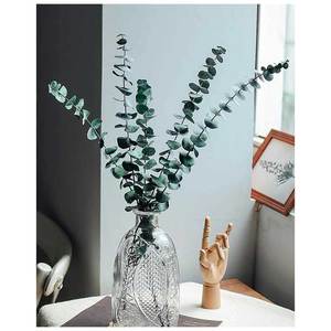 Haute qualité 6 pièces feuilles sèches tiges d'eucalyptus branches naturelles écologique pour douche suspendu vraies fleurs séchées Vase remplissage - Product Image 1