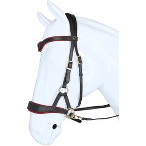 Brida sin mordida de control suave con banda nasal acolchada Tirador lateral de cuero Argentino mecanizado a mano para caballo Hecho para mayor comodidad y seguridad - Product Image 6