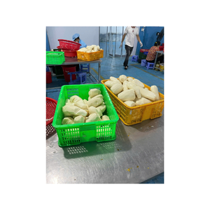 Taro congelé à usage alimentaire ou pharmaceutique, surgelé à l'aide de la technologie IQF à une température qui maintient sa structure - Product Image 4