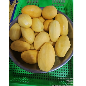 Rodajas dulces de mango congelado de Vietnam, ideales para minoristas globales, marcas de bebidas y fabricantes de alimentos - Product Image 1