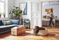 Lits pour animaux de compagnie Panier en osier Design Chien et Chats Lit Lavable Luxe Pet Espace de Sommeil Fabricant Grossiste Prix Très Bon Marché